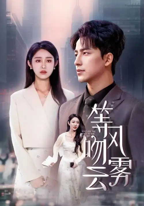 代码玫瑰热播电视剧全集在线观看